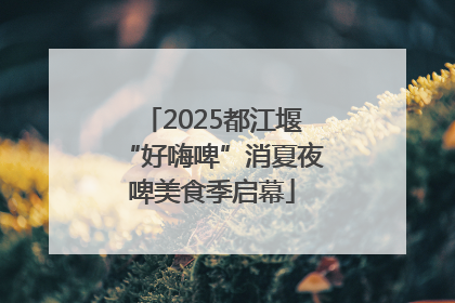 2025都江堰“好嗨啤”消夏夜啤美食季启幕