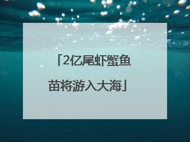 2亿尾虾蟹鱼苗将游入大海