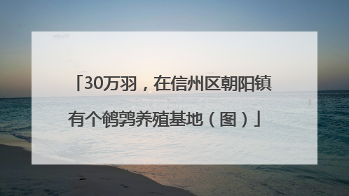 30万羽，在信州区朝阳镇有个鹌鹑养殖基地（图）