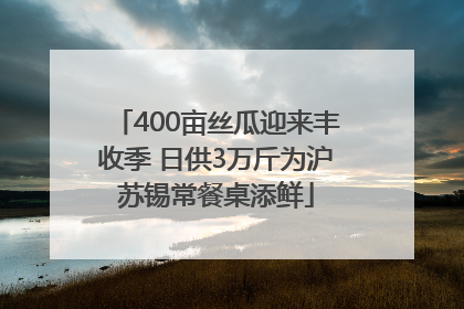 400亩丝瓜迎来丰收季 日供3万斤为沪苏锡常餐桌添鲜