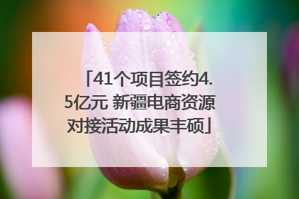41个项目签约4.5亿元 新疆电商资源对接活动成果丰硕