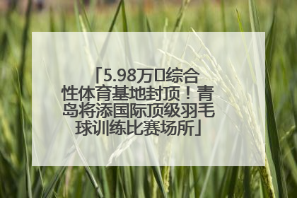 5.98万㎡综合性体育基地封顶！青岛将添国际顶级羽毛球训练比赛场所