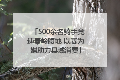 500余名骑手竞速秦岭腹地 以赛为媒助力县域消费