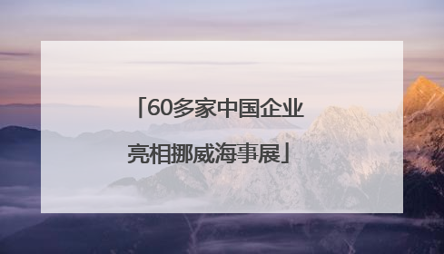 60多家中国企业亮相挪威海事展