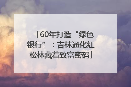 60年打造“绿色银行”：吉林通化红松林藏着致富密码