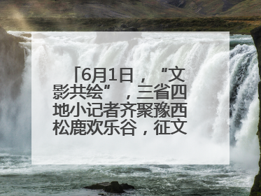 6月1日，“文影共绘”，三省四地小记者齐聚豫西松鹿欢乐谷，征文暨短视频大赛精彩启幕！