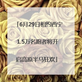 6月29日相约西宁 1.5万名跑者将开启高原半马狂欢