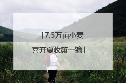 7.5万亩小麦喜开夏收第一镰