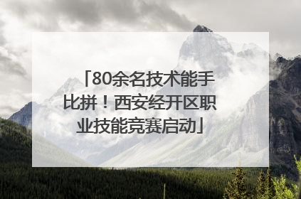 80余名技术能手比拼！西安经开区职业技能竞赛启动