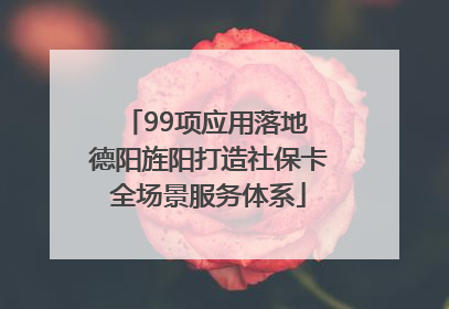 99项应用落地 德阳旌阳打造社保卡全场景服务体系