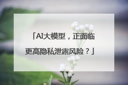 AI大模型，正面临更高隐私泄露风险？