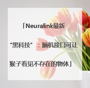 Neuralink最新“黑科技”：脑机接口可让猴子看见不存在的物体