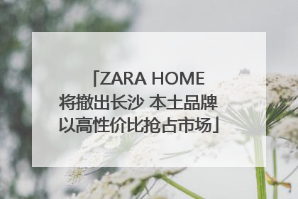 ZARA HOME将撤出长沙 本土品牌以高性价比抢占市场